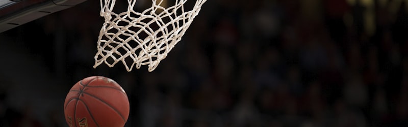 yy易游体育数据中心即时排行榜单可视化图表截图