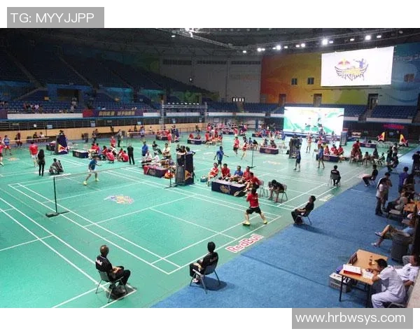 赛后分析：北京羽毛球队与南京羽毛球队的心理素质对比与启示